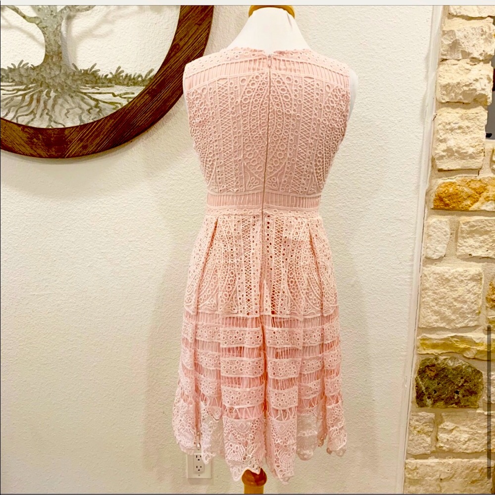 Cupcakes and Cashmere Summers Pink Lace Dress